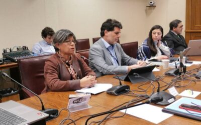 Presidenta de Confusam y de Fefusam 8° Bío Bío, expone en la Comisión de Salud del Senado