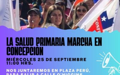 Paro Nacional  CONFUSAM: FEFUSAM 8° Bío Bío convoca a gran marcha  en Concepción